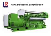 Low Gas Consumption 50kw Natural Gas Generators with Brushless Electric Start
